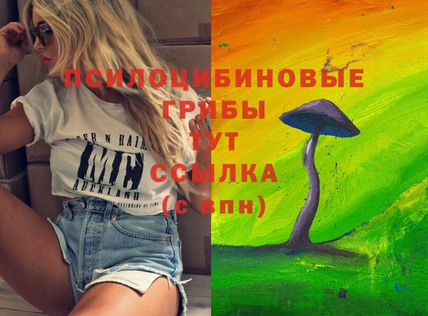 ешки Алексин