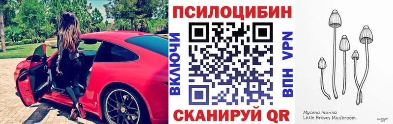 где купить наркоту Североуральск Галлюциногенные грибы ЛСД